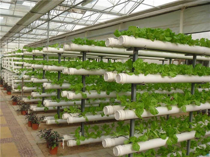 上海市大田灌溉种植槽 - 方案